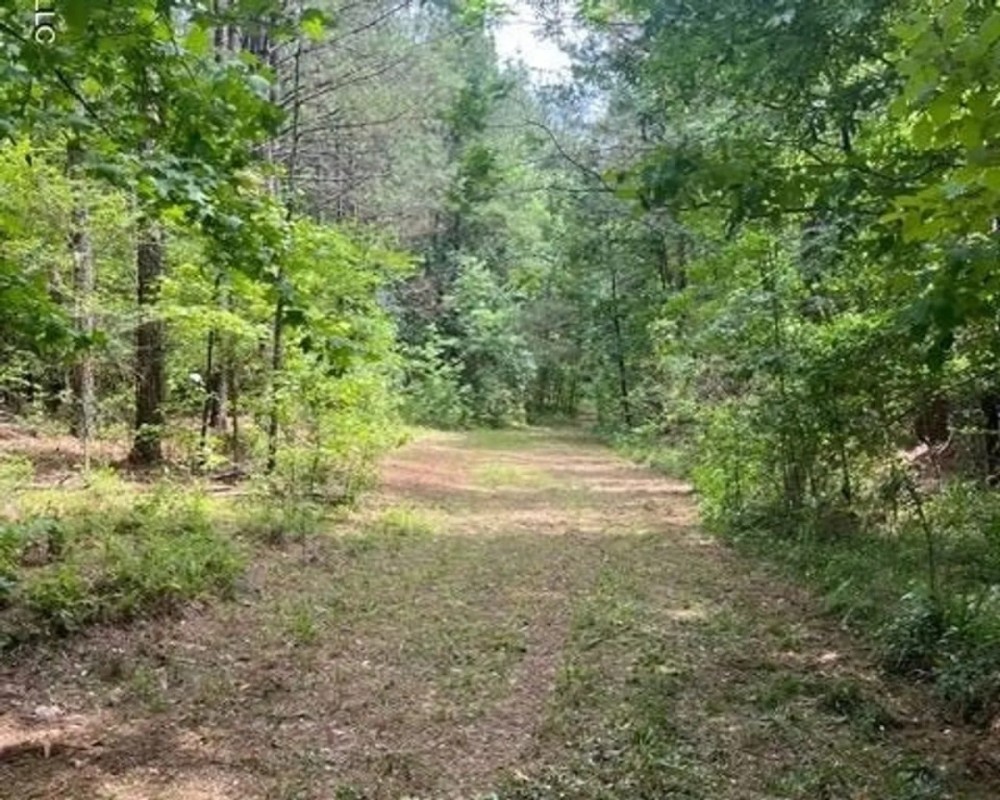 South Jackson 28 featured image