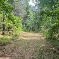 South Jackson 28