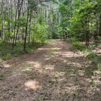 South Jackson 28 images 3