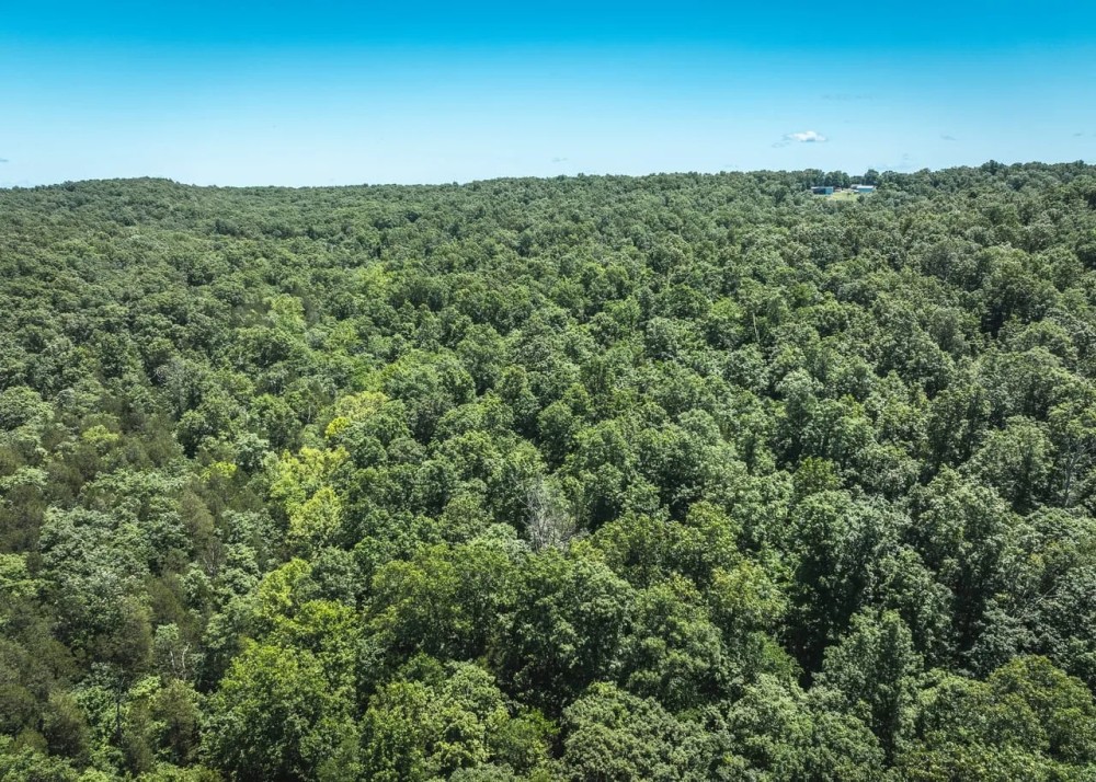Kuskes Deer Camp Tract 1 featured image