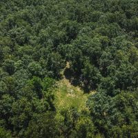 Kuskes Deer Camp Tract 1 images 3