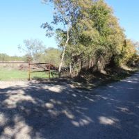 Rural homesite with great oak trees and short commute to DFW images 3