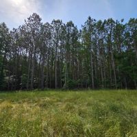Evans Trust Tract 2 - 130 Ac.