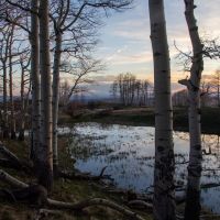 High Point Ranch images 4
