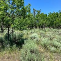 Barker Ranch North images 4