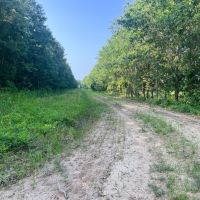 LA - Madison 981 acres - 50 share images 3