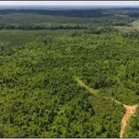 71.6 Acres in Scott County in Morton MS images 3