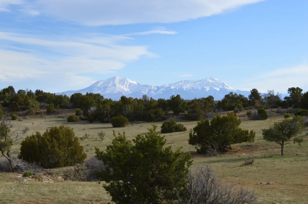 39.24 Acre Gordon Ranch Parcel featured image