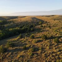 Norton County KS Range Canyons 520 acres just off the Solomon River images 2
