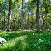 Robeson 701 images 4