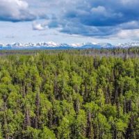 Adventure in your own off grid paradise