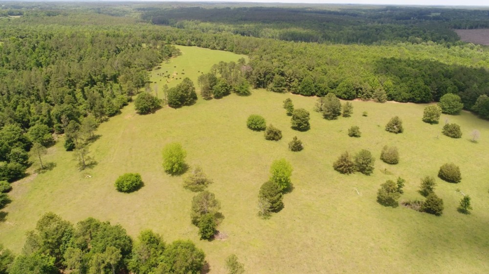 198 - acres Crenshaw Co Red Hills featured image