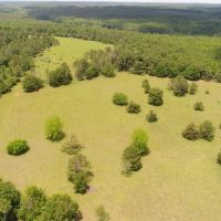 198 - acres Crenshaw Co Red Hills