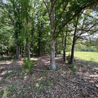 198 - acres Crenshaw Co Red Hills images 3