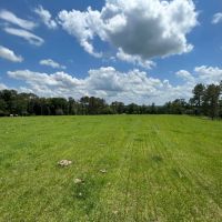 198 - acres Crenshaw Co Red Hills images 4