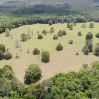 198 - acres Crenshaw Co Red Hills images 5