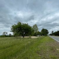 30 Acre Mini Farm NW Georgia images 3