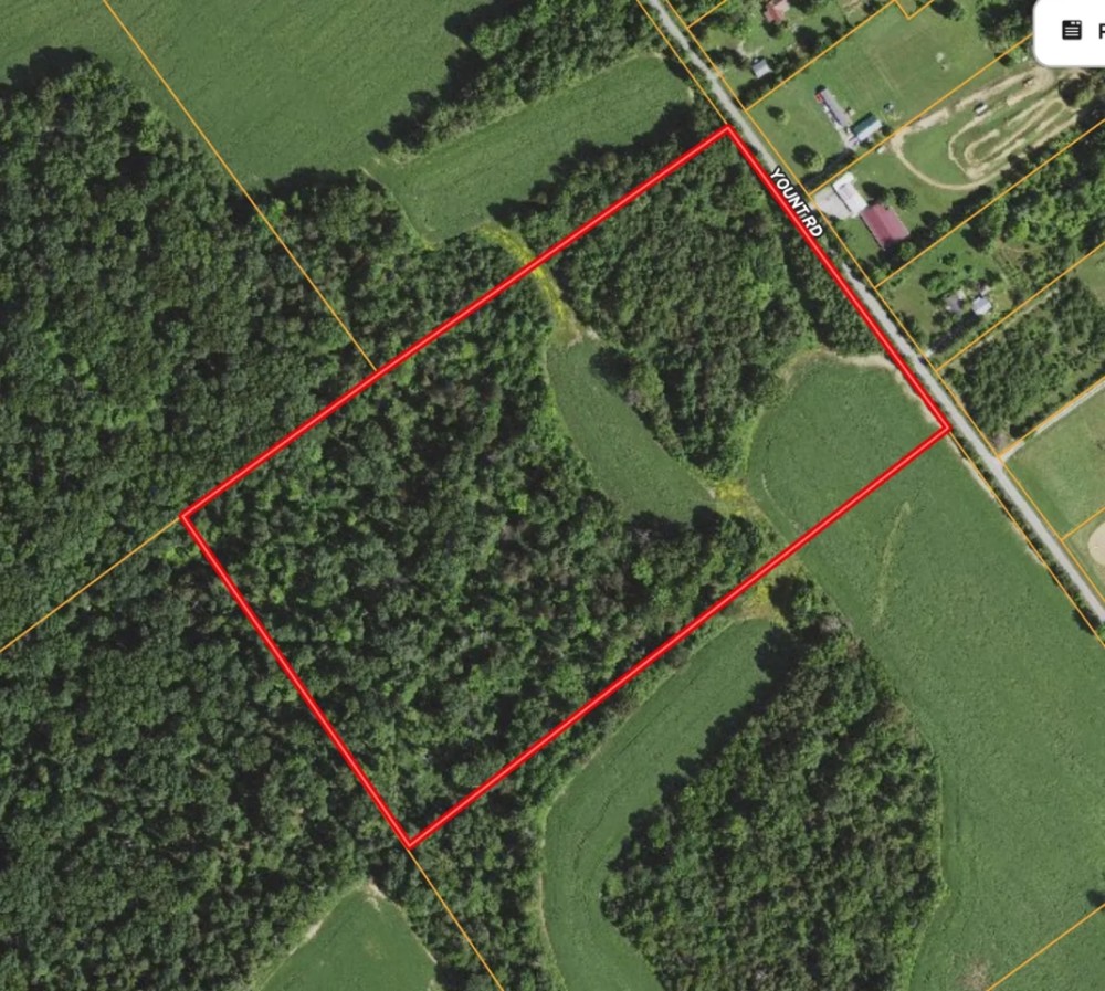 20 - ACRES CLARK COUNTY RECREATIONAL POTENTIAL BUILDABLE LAND FOR SALE featured image