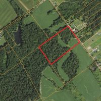 20 - ACRES CLARK COUNTY RECREATIONAL POTENTIAL BUILDABLE LAND FOR SALE images 2