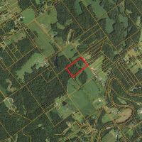 20 - ACRES CLARK COUNTY RECREATIONAL POTENTIAL BUILDABLE LAND FOR SALE images 4
