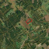 20 - ACRES TRACT 6 CLARK COUNTY LAND FOR SALE images 3