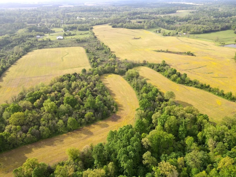 104 - acres Marysville IN 41741 Clark County Tillable Recreational Building Potential Land for Sale featured image
