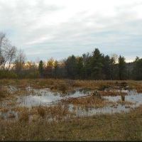 Connecticut Hill WMA - 11,237 acres Deer & waterfowl hunting land in central NY