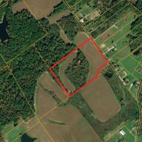 24 - acres Clark County Potential Building sites Recreational Land For Sale images 2