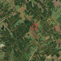 24 - acres Clark County Potential Building sites Recreational Land For Sale images 3