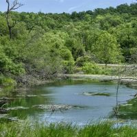 46 - Acres of Great Hunting and Fishing Vernon County WI images 2