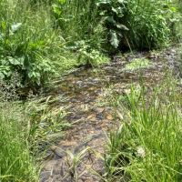 46 - Acres of Great Hunting and Fishing Vernon County WI images 3