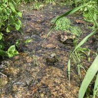 46 - Acres of Great Hunting and Fishing Vernon County WI images 4