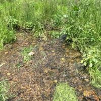 46 - Acres of Great Hunting and Fishing Vernon County WI images 5
