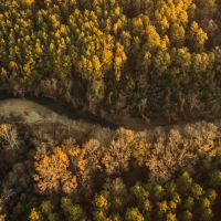 520 Acres with a Cabin in Lawrence County MS images 3