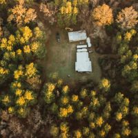 520 Acres with a Cabin in Lawrence County MS images 4