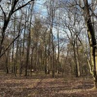 80 Acre Hunting Property for Sale in Caldwell Parish La