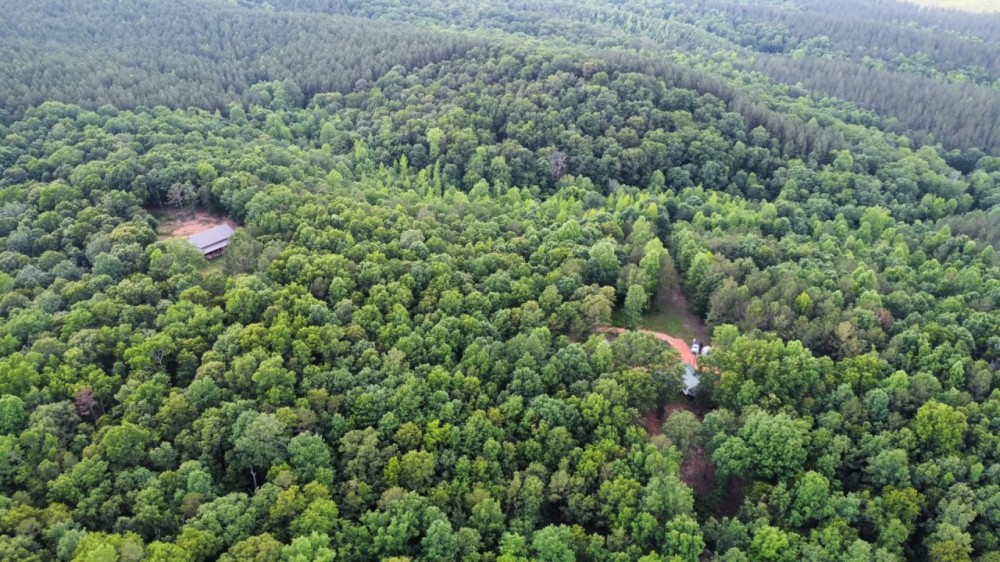 Cool Springs Retreat 40 - ac featured image