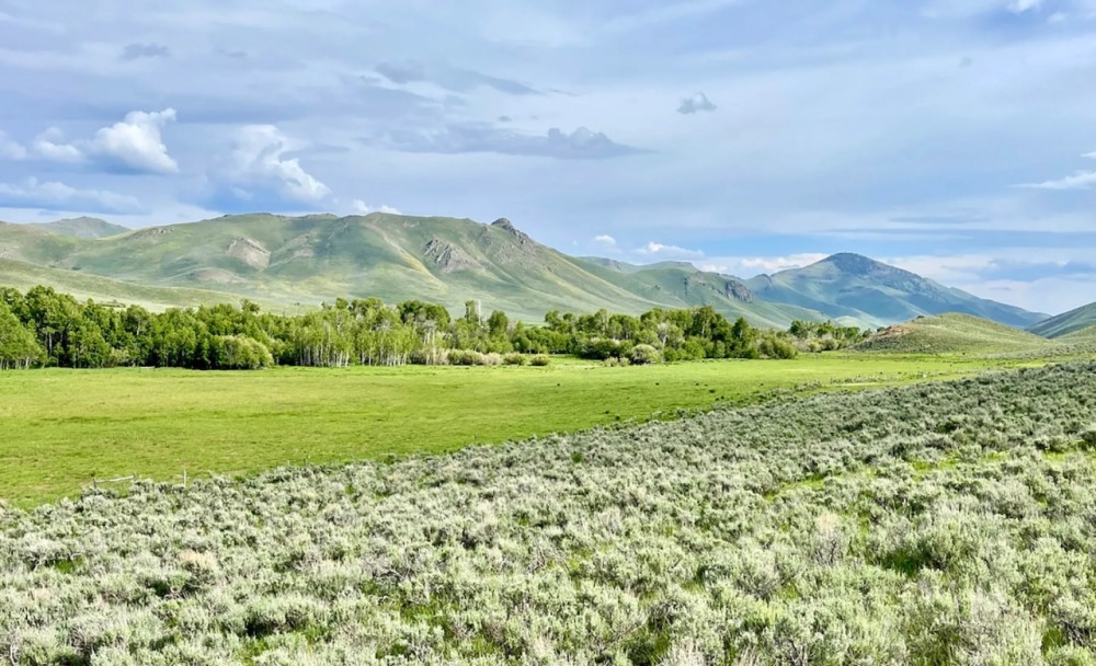 Two Forks Ranch featured image