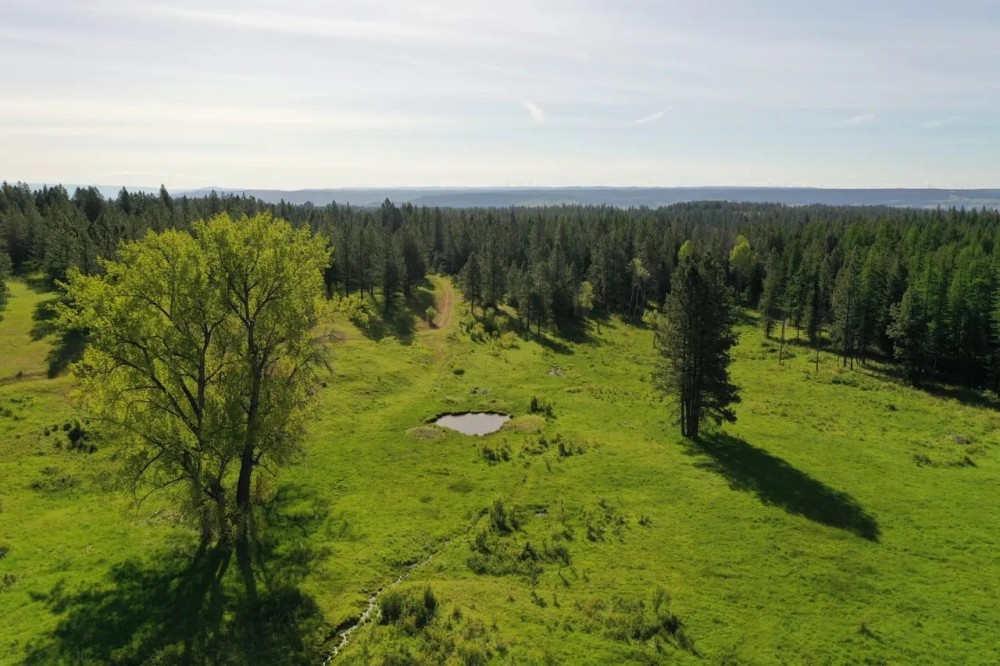 Howard Meadows featured image