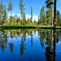 Howard Meadows images 4