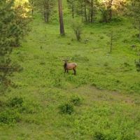Howard Meadows images 5
