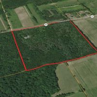 1788 N SR 327 Orland IN 46776 40 AC 1792 sq ft 2 bed 2 bath Cabin Land for Sale images 5