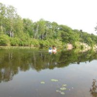 Deer Creek Marsh - 1,771 acres white deer hunting area in central New York