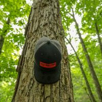 30 Acres in Meigs County TN images 4