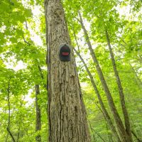 30 Acres in Meigs County TN images 5