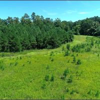33.47 Acres in Winston County in Louisville MS images 2