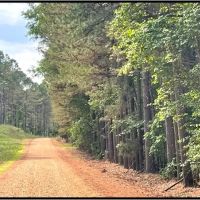 33.47 Acres in Winston County in Louisville MS images 3