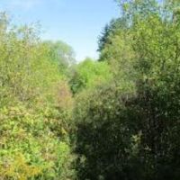 Hamlin Marsh - 1686 acres whitetail deer & waterfowl hunting area in central NY