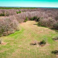 HWY 49- 50 Acres for Sale images 2
