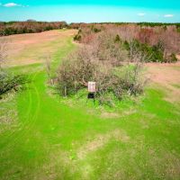 HWY 49- 50 Acres for Sale images 5
